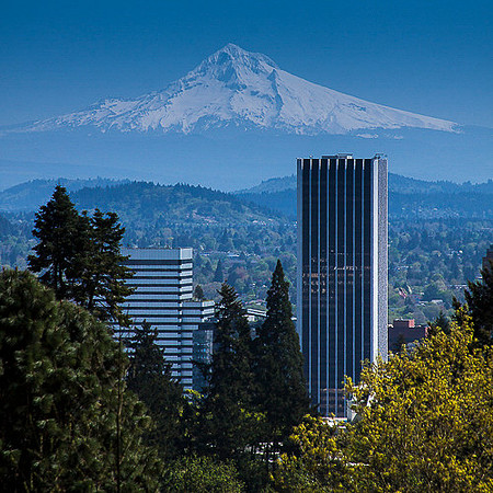PORTLAND PARADISE