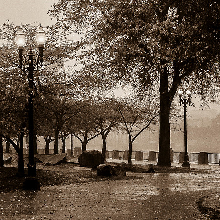 AUTUMN RAIN SEPIA
