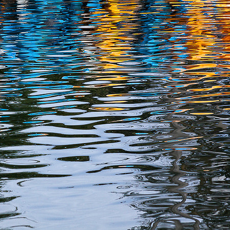 LAURELHURST REFLECTIONS