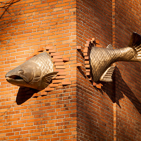 SWIMMING UPSTREAM
