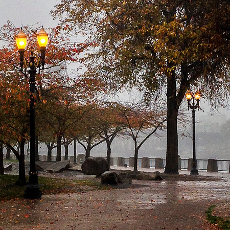 AUTUMN RAIN