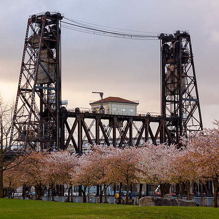 STEEL BRIDGE SPRING