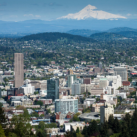 STUMPTOWN