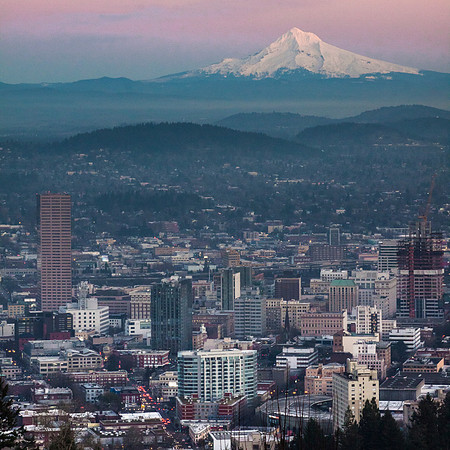 STUMPTOWN ALPENGLOW