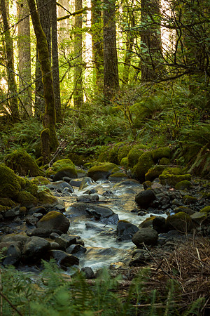 WACHELLA FALLS STREAM